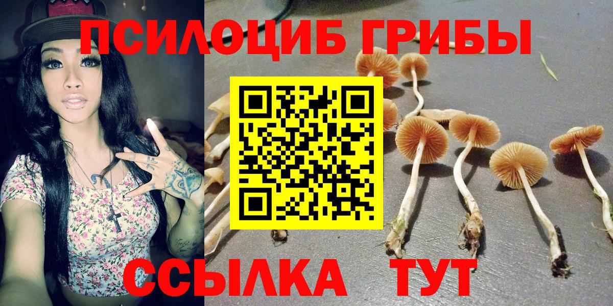 Галлюциногенные грибы прущие грибы  Галлюциногенные грибы прущие грибы  Челябинск  Вход с VPN 