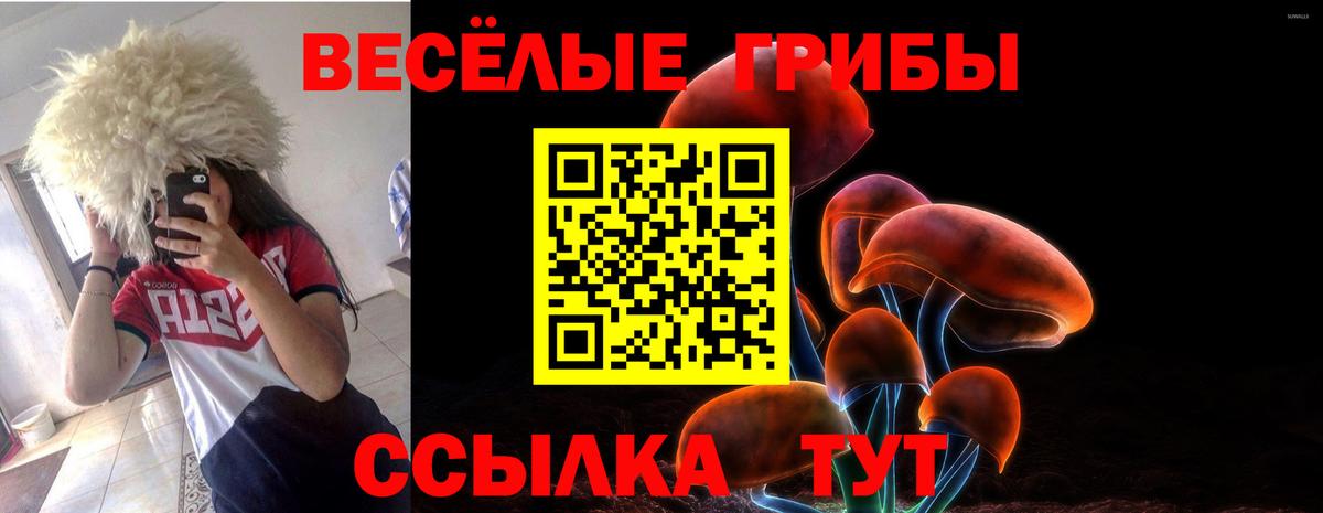 Псилоцибиновые грибы мицелий Челябинск